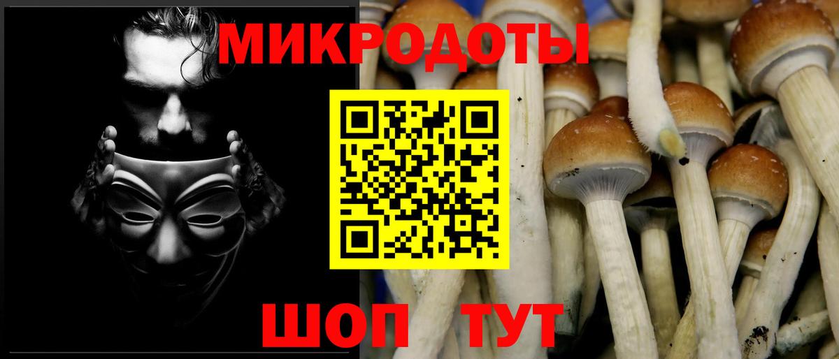Галлюциногенные грибы GOLDEN TEACHER Тверь